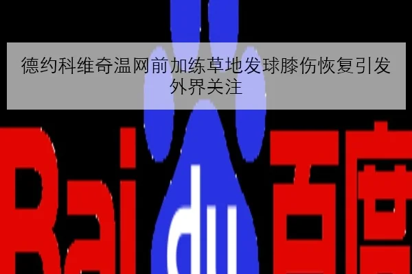 德约科维奇温网前加练草地发球膝伤恢复引发外界关注