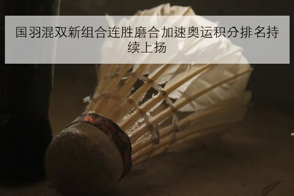 国羽混双新组合连胜磨合加速奥运积分排名持续上扬